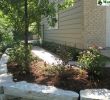 Gartengestaltungsideen Schön Get Rid Of that Wasted Space Along the Side Of Your House by