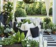 Gartenideen Diy Elegant 20 Coole Pinterest Gartenideen Neuesten Trends