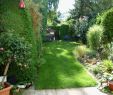 Gartenideen Für Kleine Gärten Frisch Kleine Gärten Gestalten Reihenhaus — Temobardz Home Blog