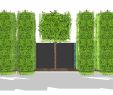 Gartenideen Modern Genial Zimmerpflanzen Groß Modern — Temobardz Home Blog