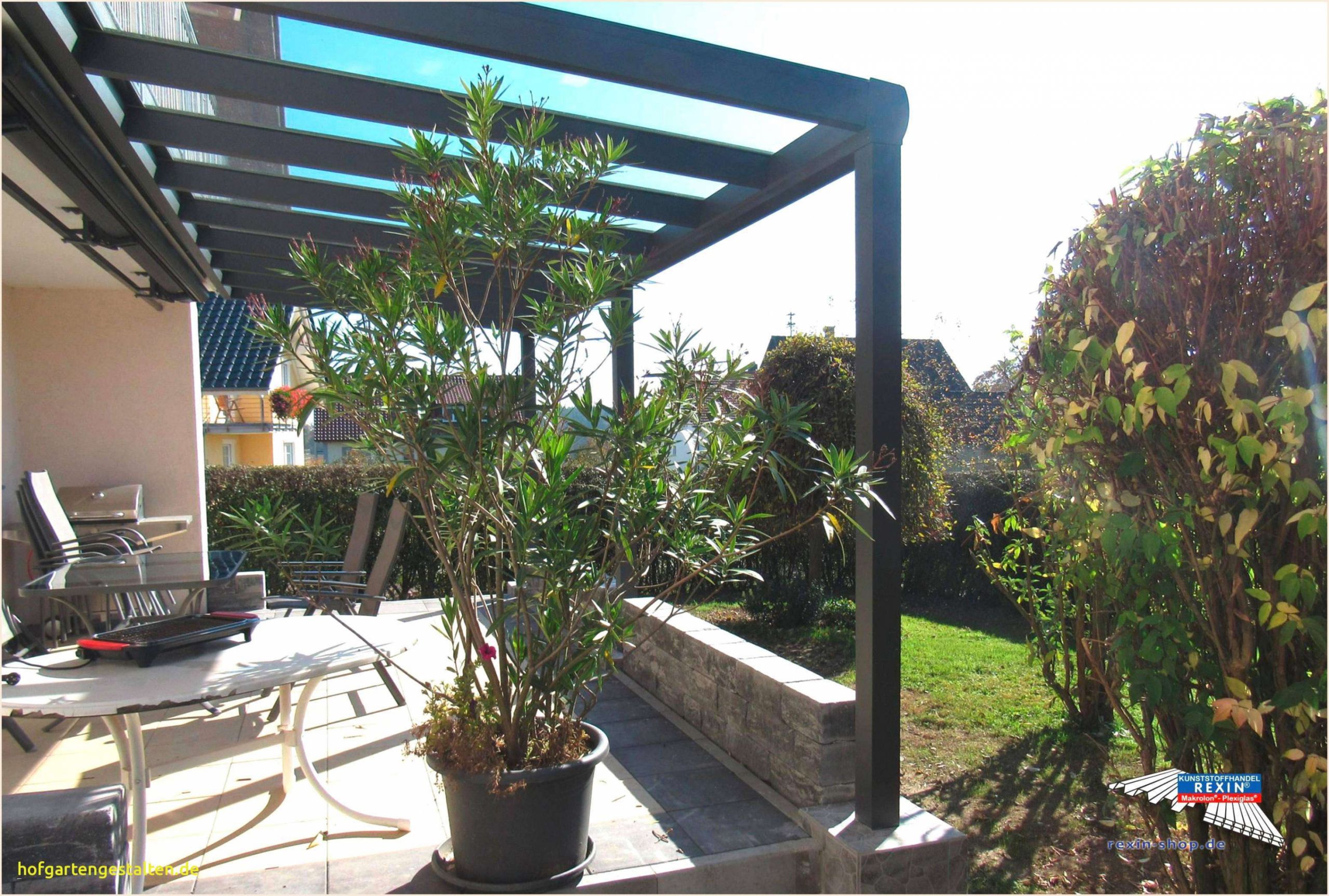 Gartenideen Modern Genial Zimmerpflanzen Groß Modern — Temobardz Home Blog