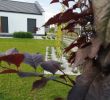 Gartenideen Ohne Rasen Genial Pin On Gartenarbeit
