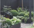 Gartenideen Zum Selber Machen Schön Garten Ideen Selber Machen — Temobardz Home Blog