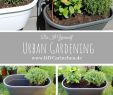 Gartenideen Zum Selbermachen Genial Diy Urban Gardening Mit Dem Emsa Wandgarten Tipps Und