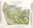 Gartenplan Luxus Plik 1909 Botanischer Garten Plan – Wolna