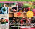 Gartenplaner Online Best Of Calaméo Mein Para S 5 2018 Haubensak