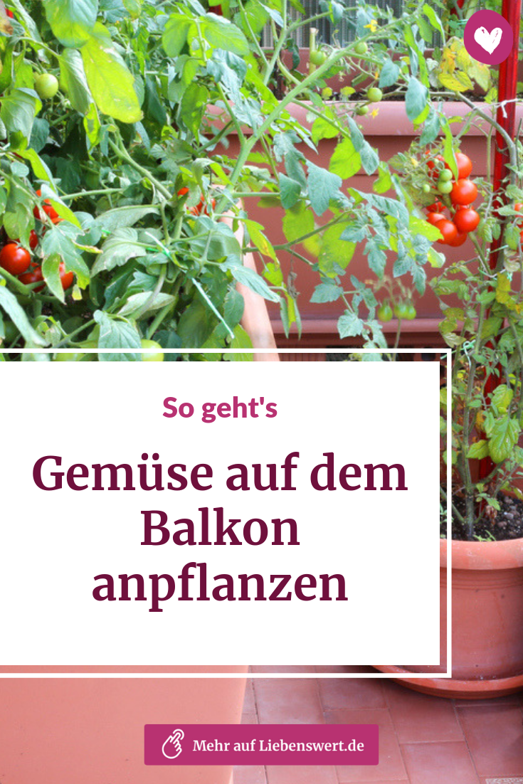 Gartensitzplatz Ideen Luxus Gemüse Auf Dem Balkon Anpflanzen Diese 5 sorten Sind