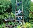 Gartenskulpturen Selber Machen Einzigartig Ein Garten Wie Aus Der Gartenzeitschrift