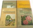 Gartenstauden Einzigartig Ogrodnictwo Niemieckie 4 tomy Jelitto 1937