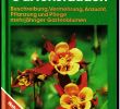 Gartenstauden Frisch Gartenstauden Beschreibung Vermehrung Anzucht Pflanzung Und Pflege Mehrjähriger Gartenblumen