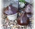 Gartenstecker Selber Machen Luxus Pilze Aus Beton Bauanleitung Zum Selberbauen 1 2 Do