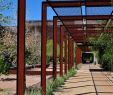 GartenstrÃ¤ucher Inspirierend Corten Arbors at Arizona State University Polytechnic