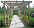 GartenstrÃ¤ucher Inspirierend Timber Garden Structure Build and Design In Es Suffolk