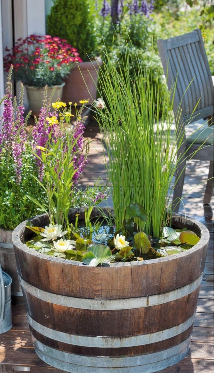 Gartenteich Gestalten Inspirierend Miniteich Anlegen Wasserlilien Fass Roehricht Outdoor