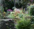 Gartenteich Luxus Romantische Gärten