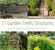 Gartentips Inspirierend 21 Easy Diy Garden Trellis Ideas & Vertical Growing