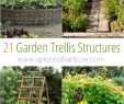 Gartentips Inspirierend 21 Easy Diy Garden Trellis Ideas & Vertical Growing