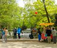 Gartentips Inspirierend Visit Munich S English Garden