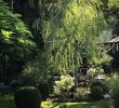 Gartenumgestaltung Elegant Sebastian Streich On Instagram “ Werbung Einen