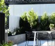 Gartenumgestaltung Inspirierend Chamber St south Yarra Ben Scott Garden Design In 2019