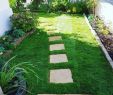 Gartenumgestaltung Inspirierend Rollrasen Lässt Sich Auch Jetzt Noch Im Schönen Spätherbst