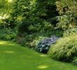 Gartenumgestaltung Inspirierend Storchschnabel Und andere Stauden Gräser Und Ihre