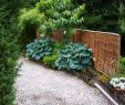 Gartenzaun Dekorieren Elegant Kreative Dekoration Für Sichtschutzwand