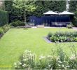 Großer Garten Gestalten Schön Zimmerpflanzen Groß Modern — Temobardz Home Blog