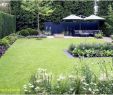 Großer Garten Gestalten Schön Zimmerpflanzen Groß Modern — Temobardz Home Blog