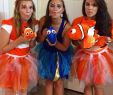 GruppenkostÃ¼me Halloween Schön Findet Nemo Kostüm Selber Machen Costume