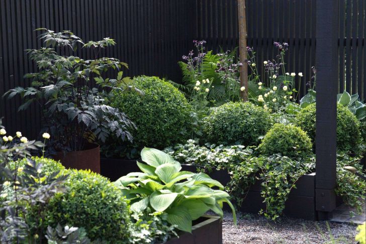 Günstige Gartengestaltung Ideen Elegant Weißer Garten Pflanzplan — Temobardz Home Blog