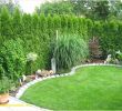 Günstige Gartengestaltung Ideen Inspirierend Weißer Garten Pflanzplan — Temobardz Home Blog