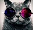 Gute Halloween KostÃ¼me Einzigartig Cat Galaxy Glasses Animal tokkoro Amazing Hd
