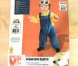 Halloween Anzug Best Of Despicable Me Child Minions Cosplay Infant toddler Baby Kids