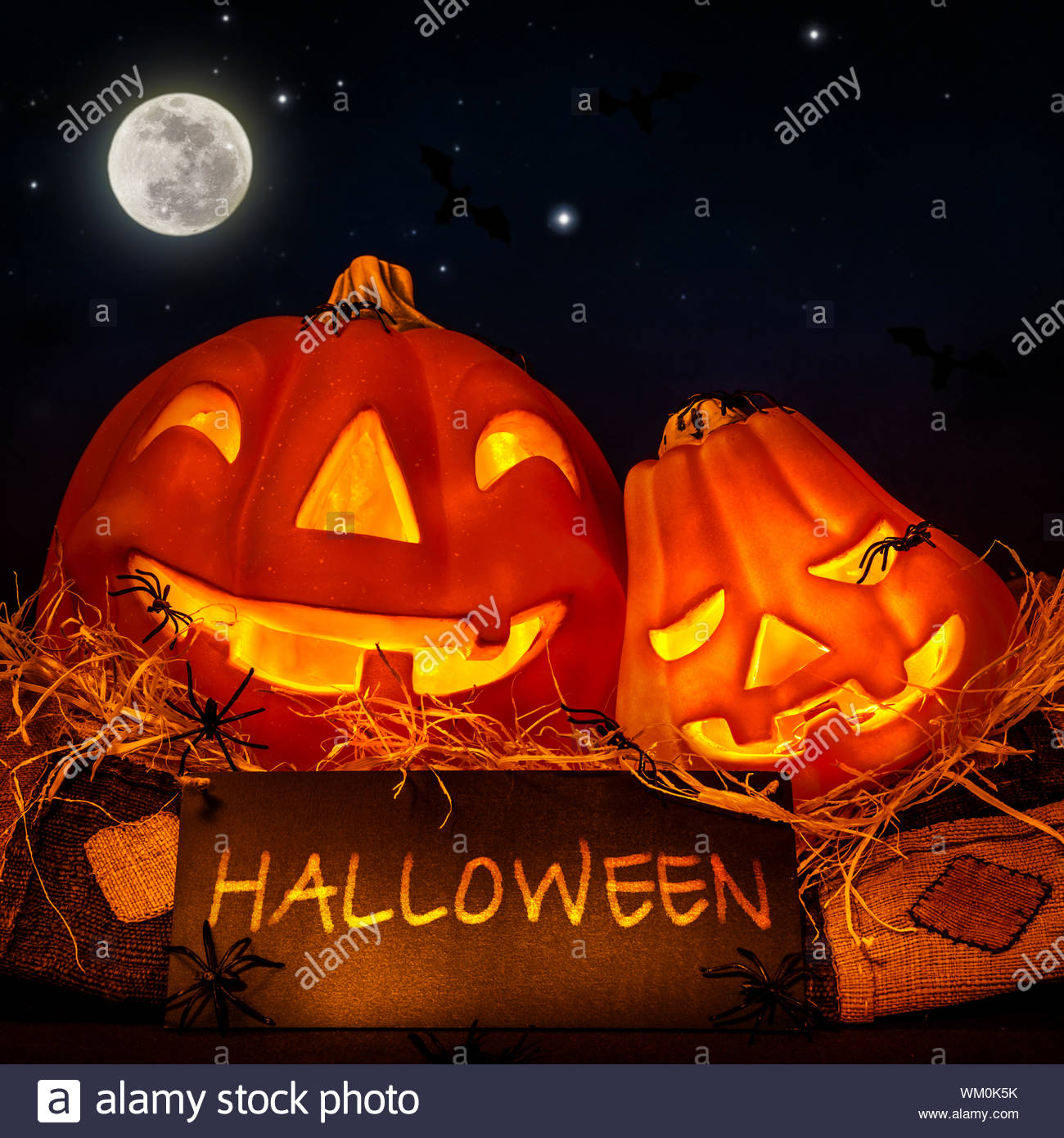 halloween pumpkin WM0K5K