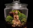 Buddha Deko Garten Frisch Sandstone Buddha In Glass Apothecary Jar
