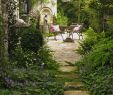 Exklusive Gartendeko Elegant Backyard Wetland Gardens Backyardgarden