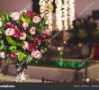 Garten Deco Neu Arrangement Flowers event Decoration — Stock