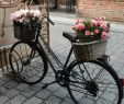 Gartendeko Fahrrad Elegant 174 Best Bicycles and Flowers Images
