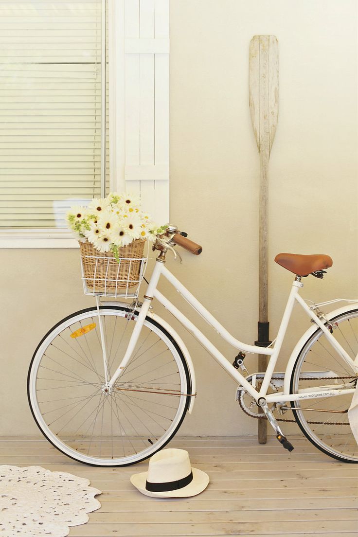 Gartendeko Fahrrad Inspirierend 115 Best Bikes Images