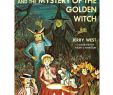 Halloween Klamotten Elegant the Happy Hollisters and the Mystery Of the Golden Witch