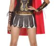 Halloween Kleider Damen Inspirierend Warrior Princess Adult Costume $55 79
