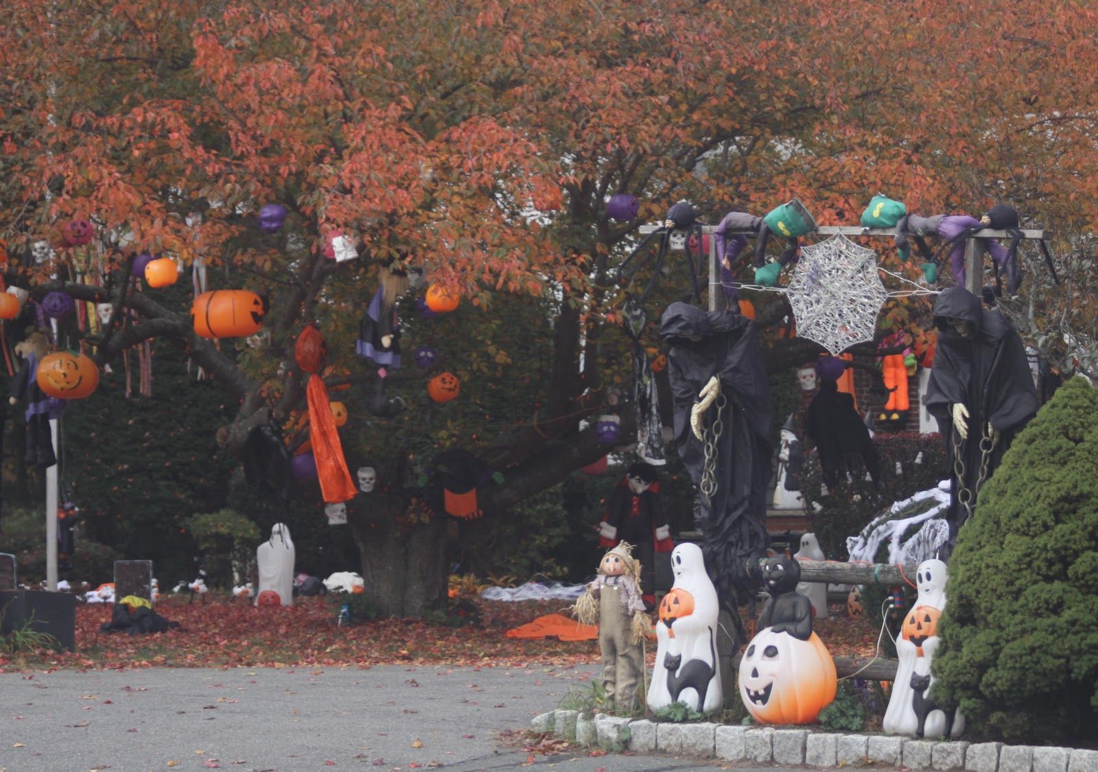 Halloween KostÃ¼m MÃ¤nner Einzigartig Salem Massachusetts During Halloween