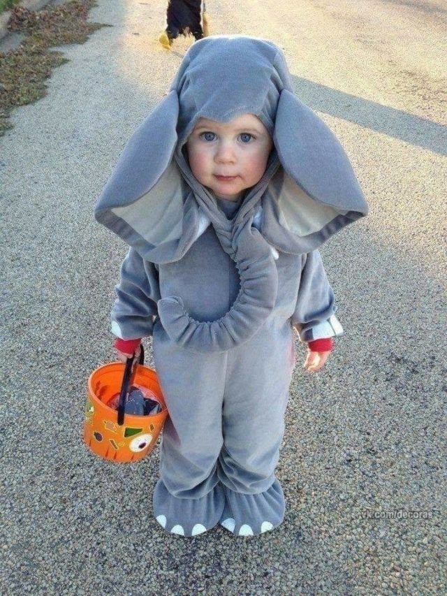 Halloween KostÃ¼me FÃ¼r Kleinkinder Best Of Adorable Elephant Costume