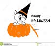 Halloween Lampe Schön Cute Black Cat In the orange Pumpkin for Happy Halloween