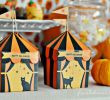 Halloween Party Ideen Luxus Halloween Ideas for Kids – Cute Pumpkin Party