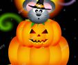 Halloween Sachen Frisch Rat R Stock S & Rat R Stock Alamy
