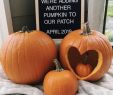 Halloween Sachen Luxus Pin On Pregnancy Announcement Ideas