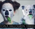 Halloween Schminke Einzigartig Koala Halloween Makeup