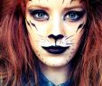 Halloween Schminktipps Best Of Miau Schickes Katzen Make Up Für Halloween Schminken